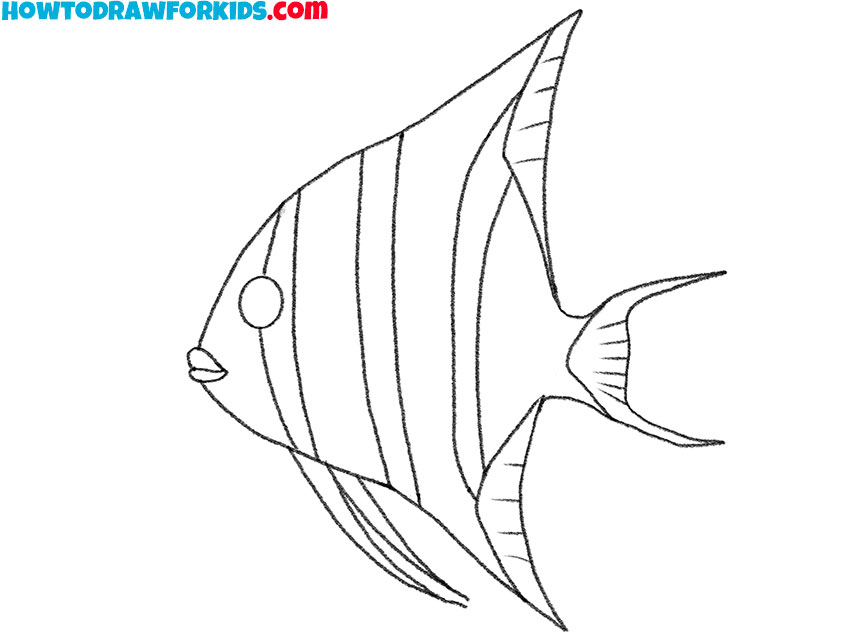 how to draw an angelfish for kindergarten
