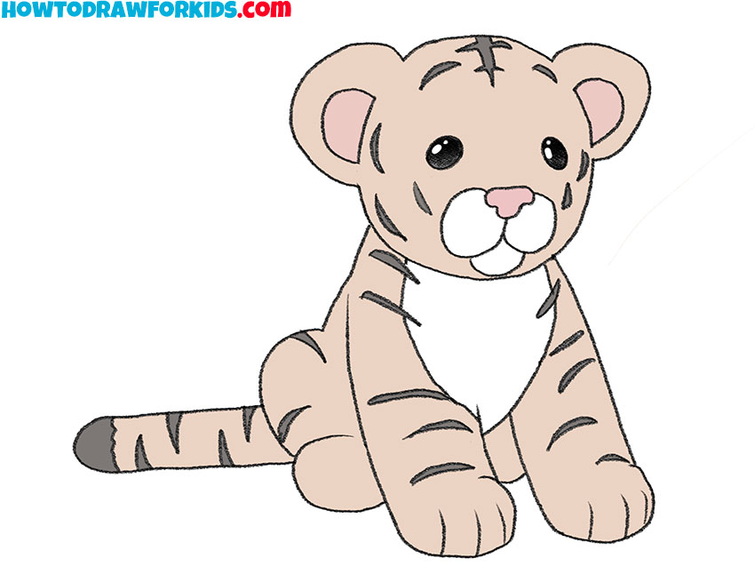 baby tiger drawing guide