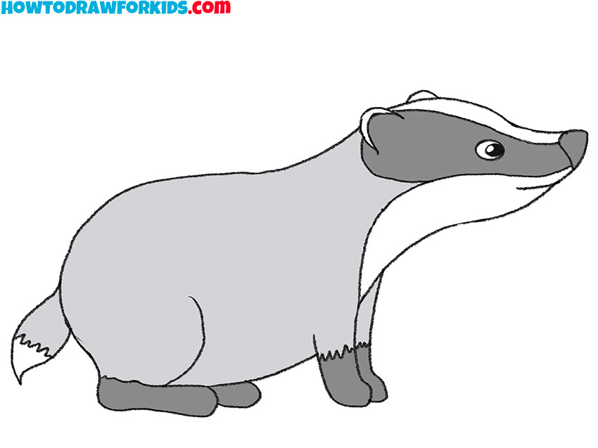 how to draw a badger for kids