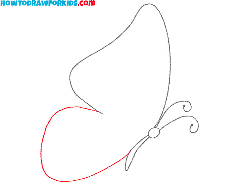 Draw the lower wing of the butterfly