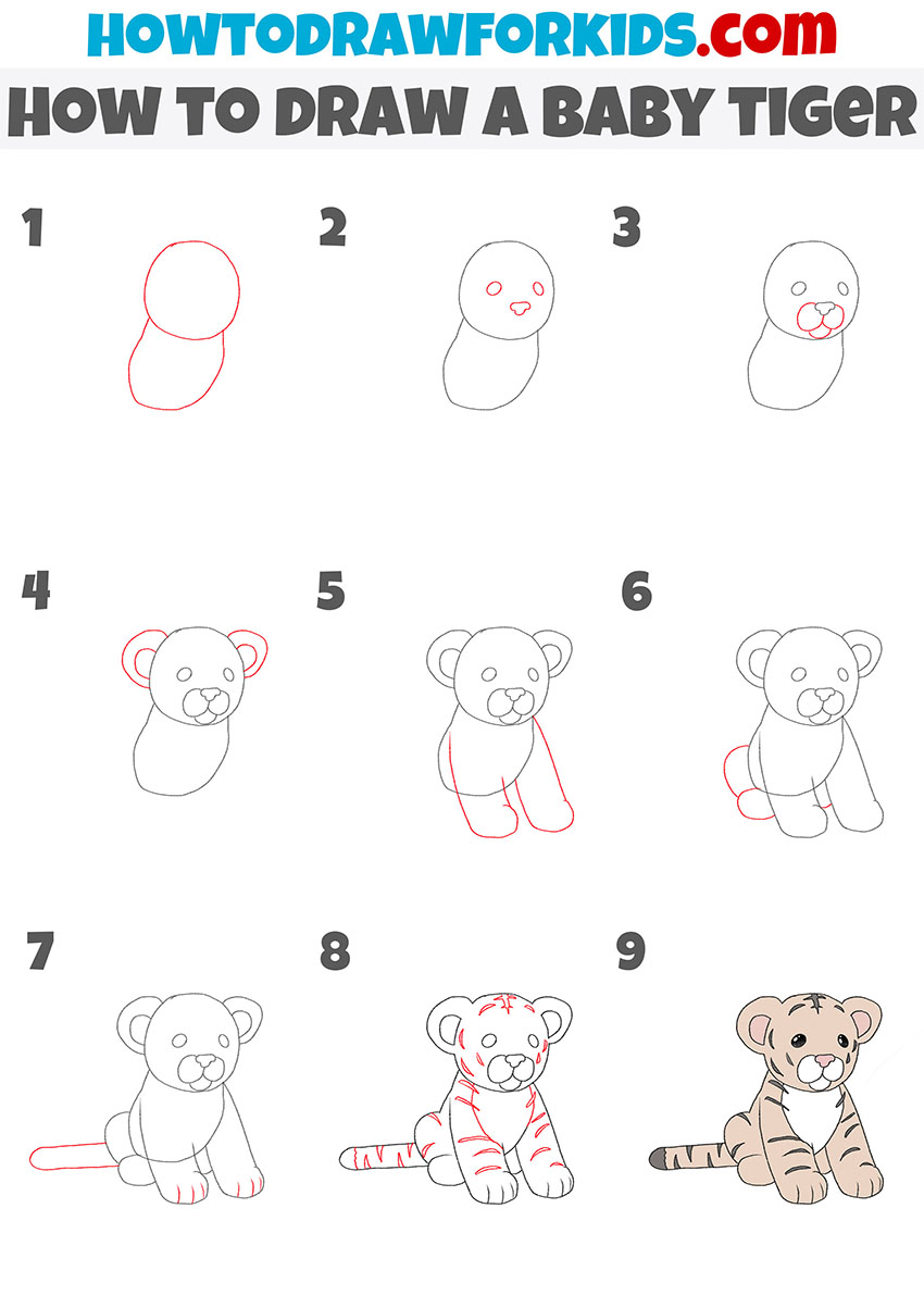 how to draw a baby tiger step by step