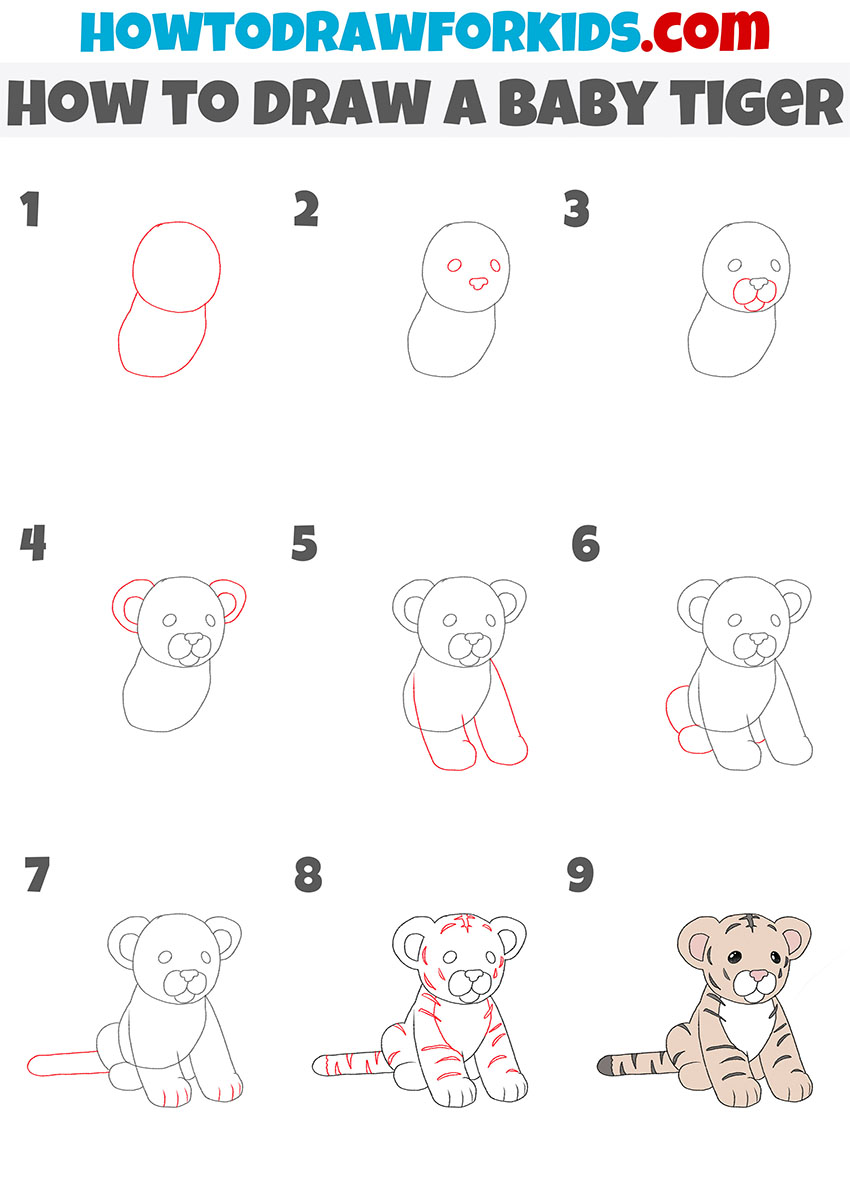 How to Draw a Baby Tiger Easy Drawing Tutorial For Kids