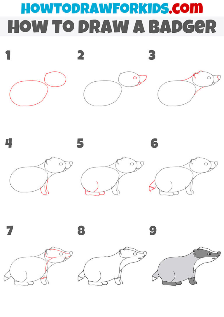 How to Draw a Badger Easy Drawing Tutorial For Kids
