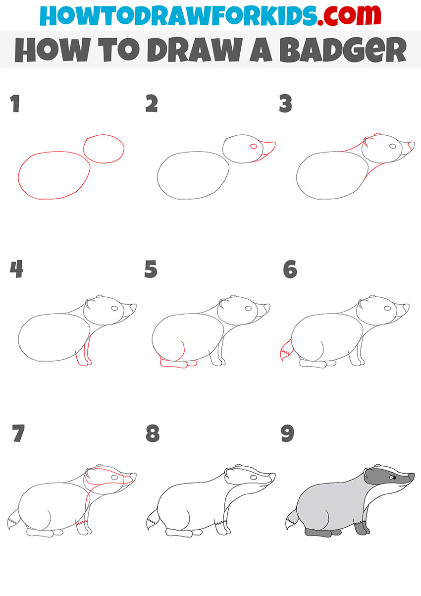 how to draw a badger step by step