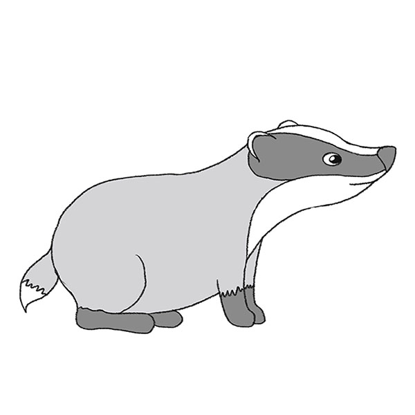 Peerless Info About How To Draw A Cartoon Badger - Blueleg