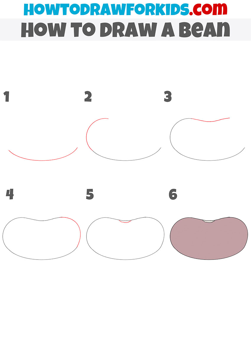 How To Draw A Beans Step By Step Guide For Beginners Easy Drawing ...