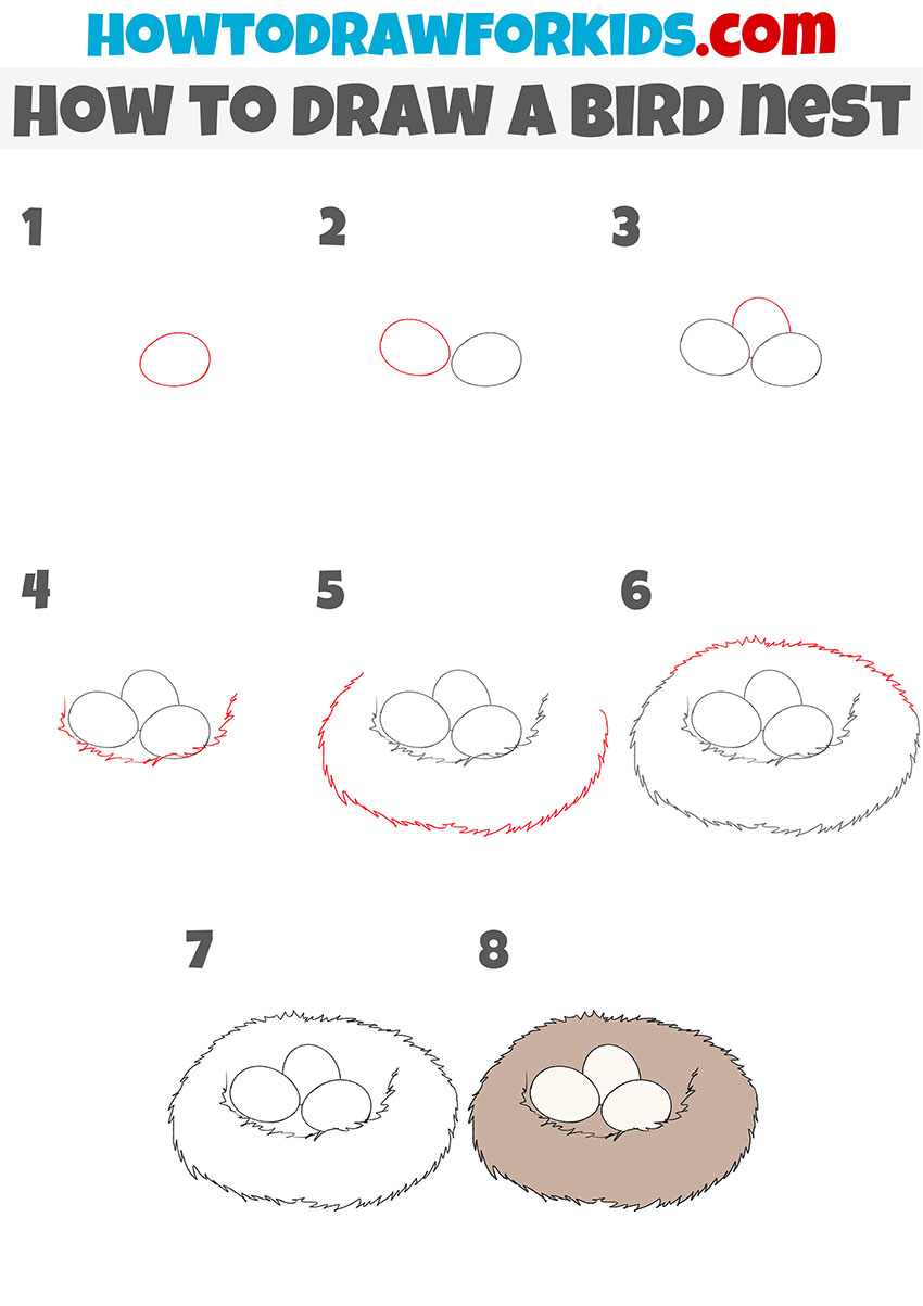 how to draw a bird nest step by step
