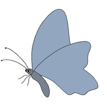 How to Draw a Butterfly Step by Step