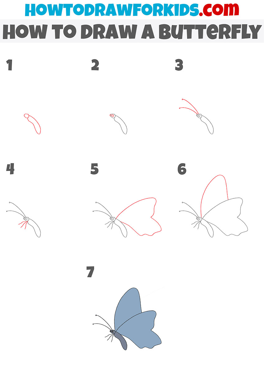 how to draw a butterfly step by step