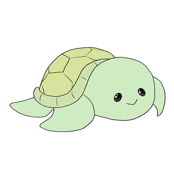How to Draw a Cartoon Turtle