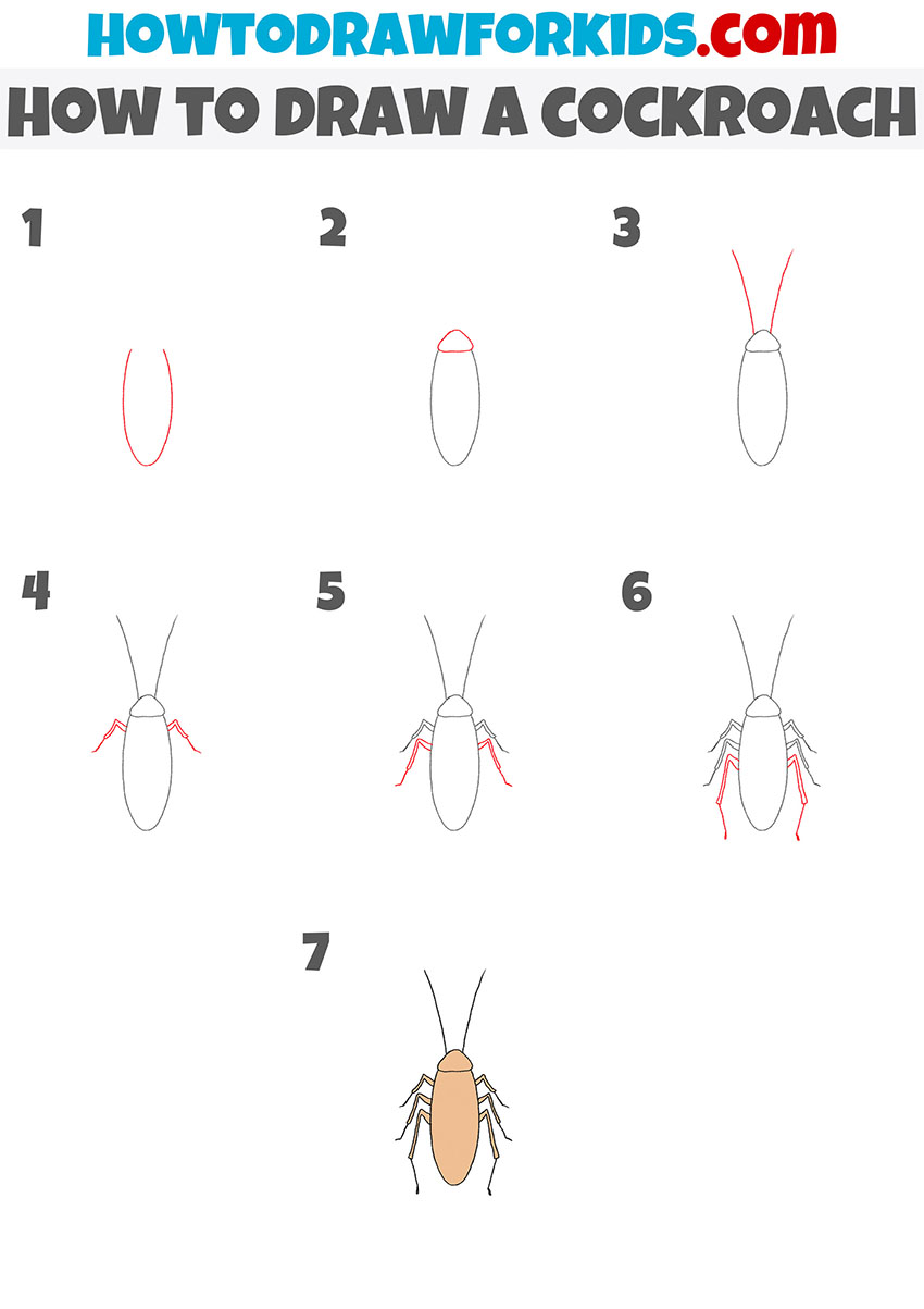 how to draw a cockroach step by step