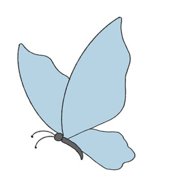 How to Draw a Flying Butterfly