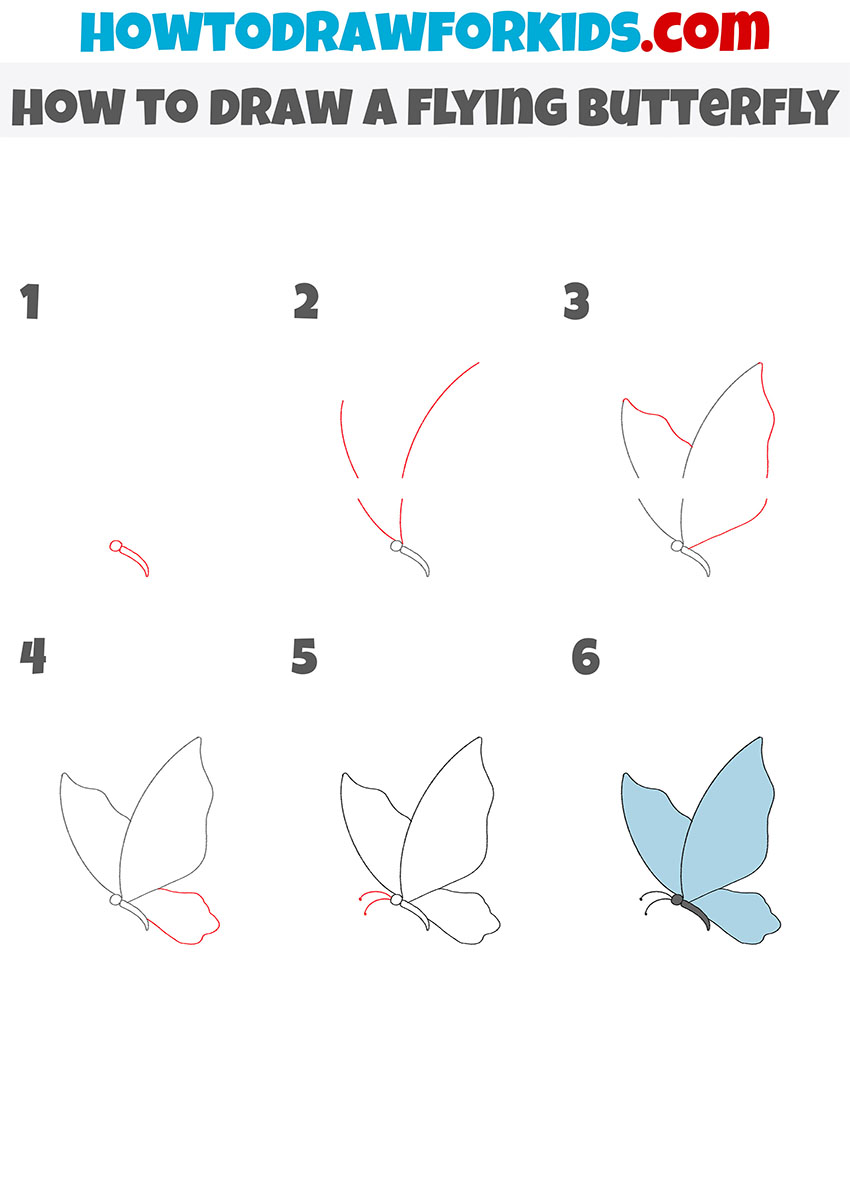 how to draw a flying butterfly step by step