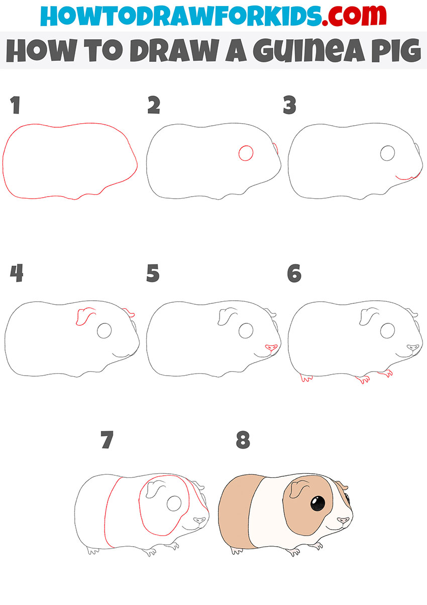 how to draw a guinea pig step by step