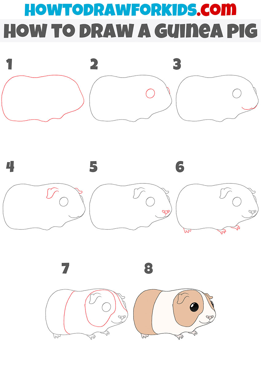 How To Draw A Guinea Pig Easy Drawing Tutorial For Kids | atelier-yuwa ...