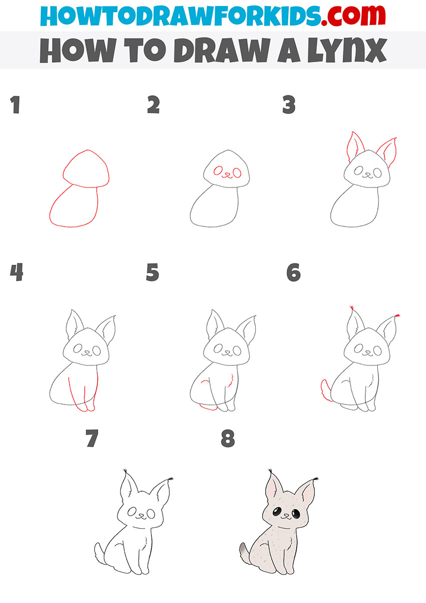 how to draw a lynx step by step