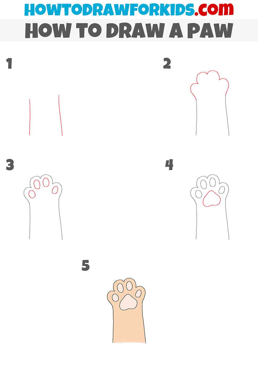 how to draw a paw step by step