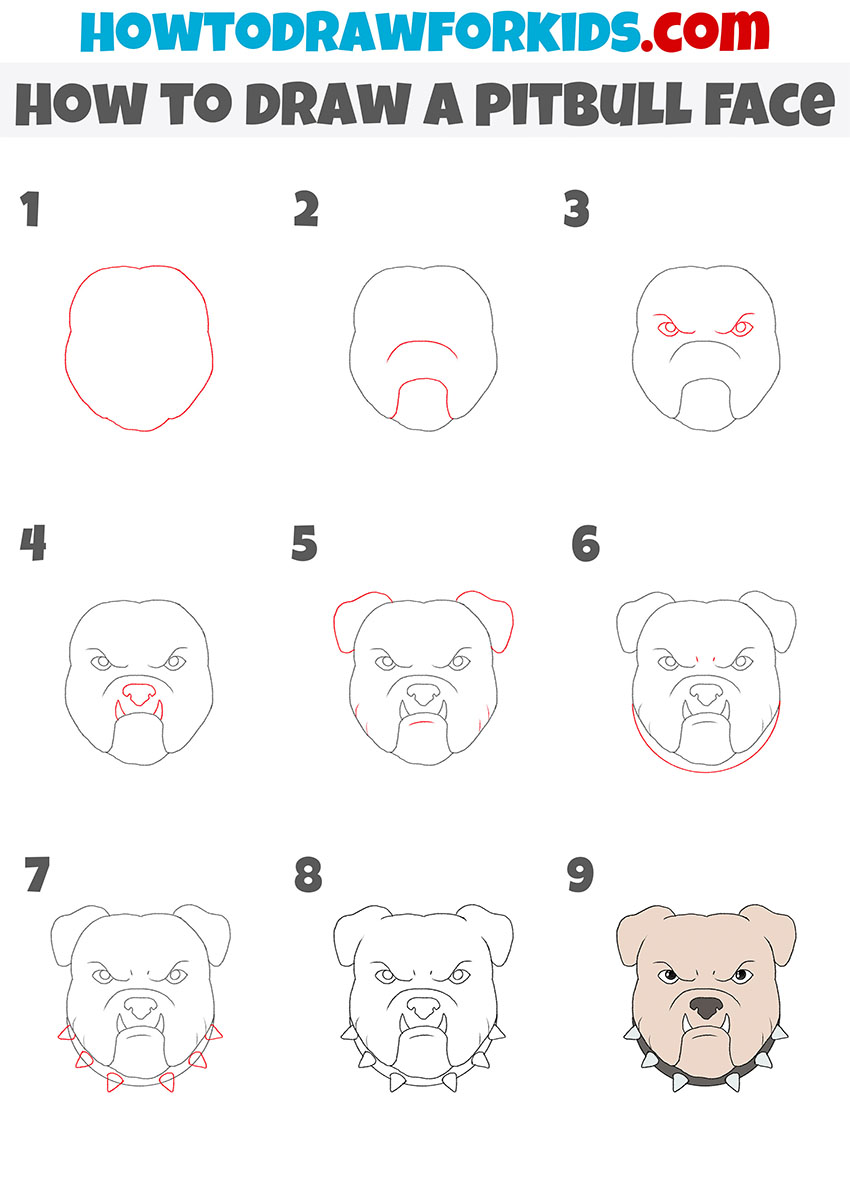 how to draw a pitbull face step by step