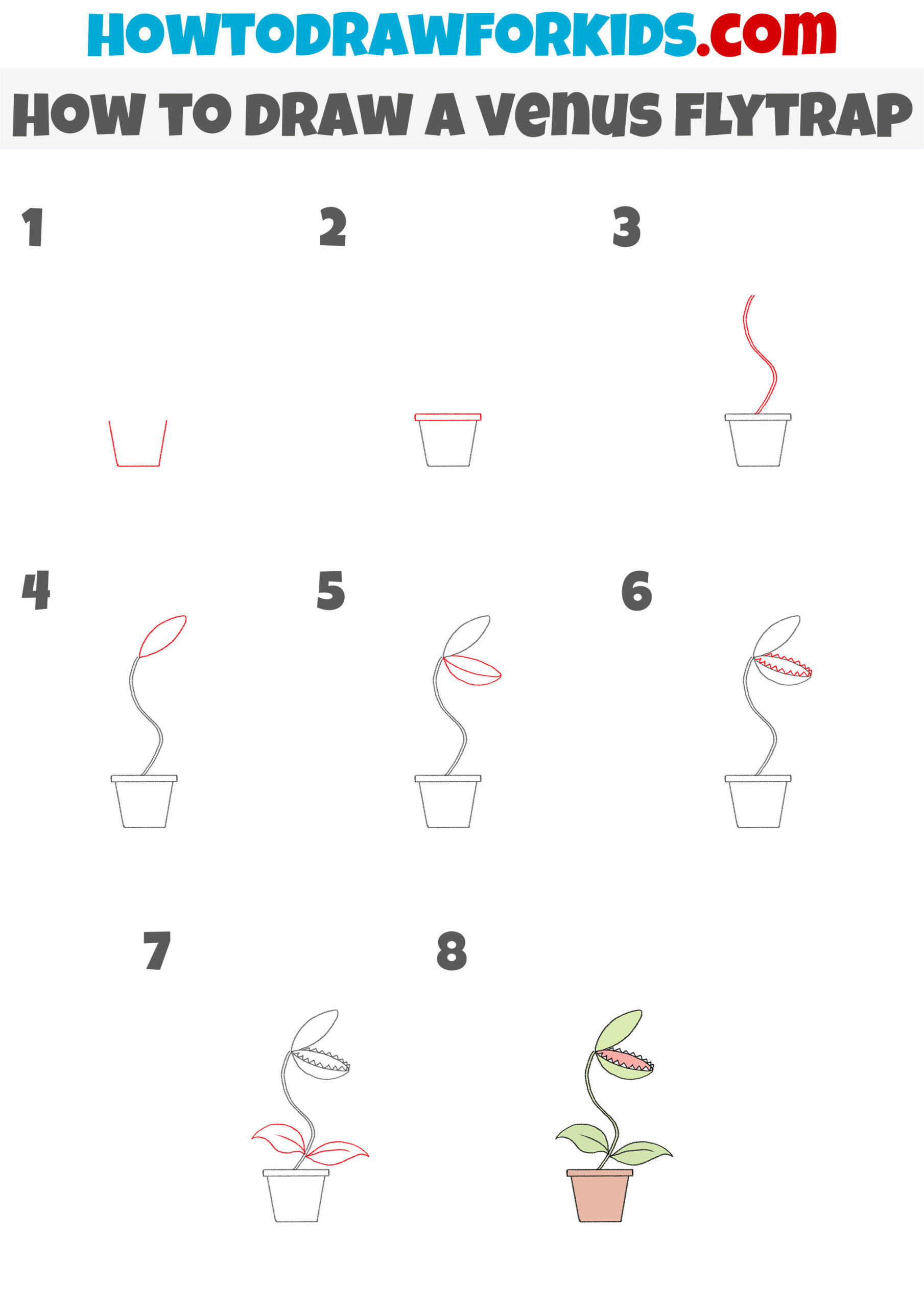 how to draw a venus flytrap step by step