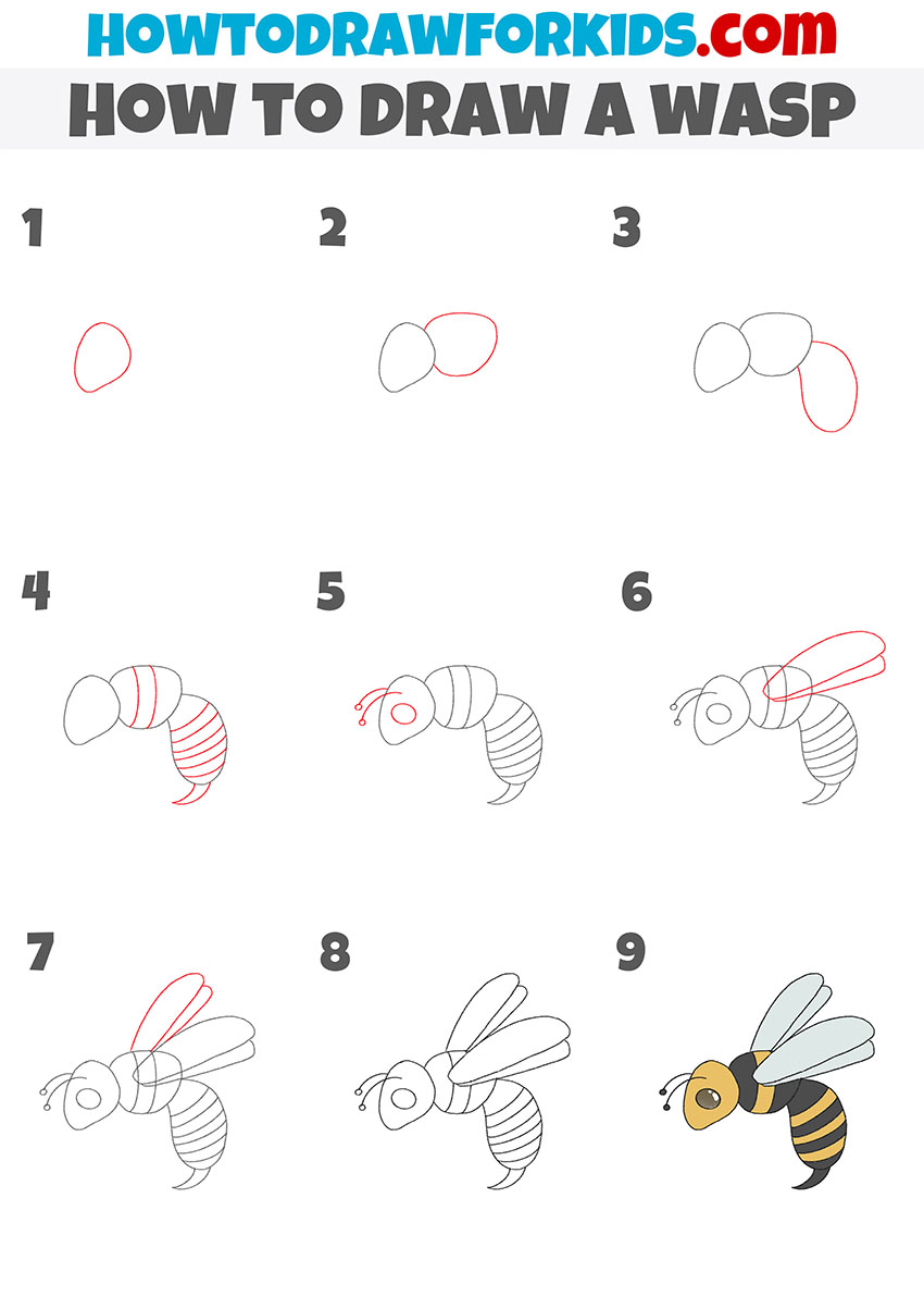 how to draw a wasp step by step