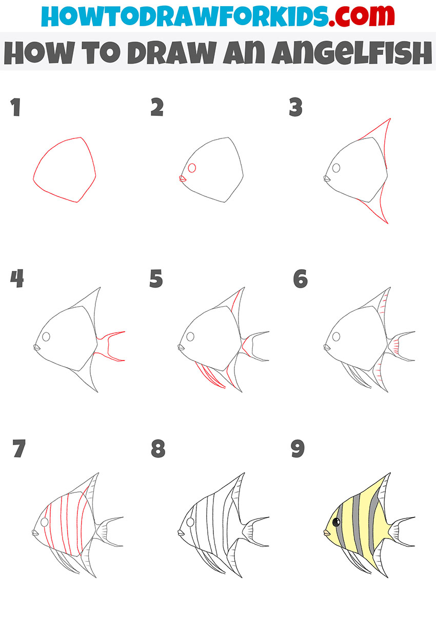 how to draw an angelfish step by step