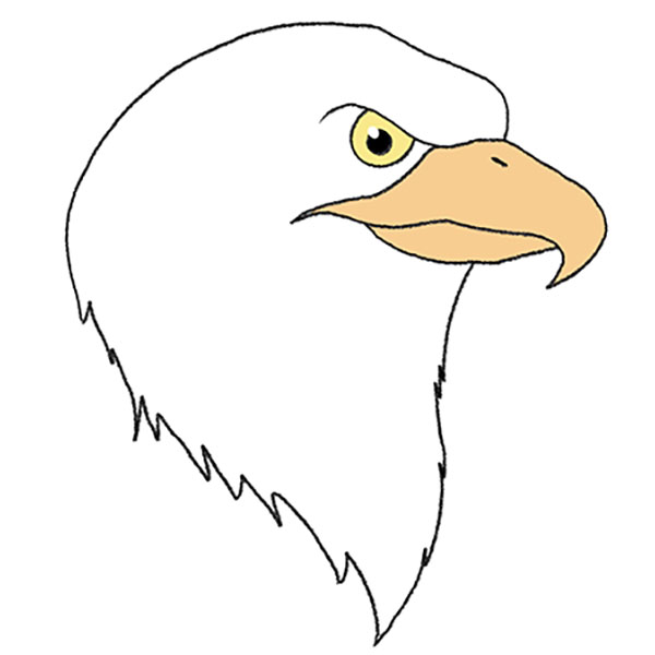 Eagle Flying Hand Draw Wall Decal - WallMonkeys.com – Wallmonkeys
