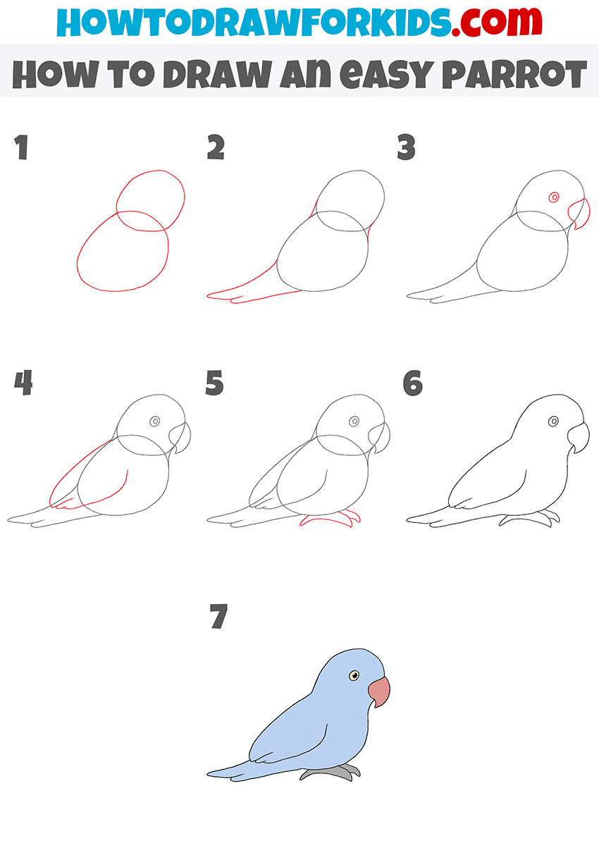 how to draw an easy parrot step by step