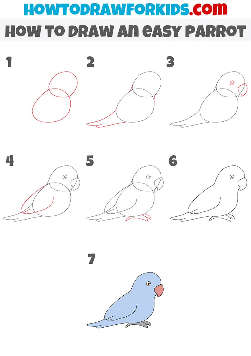 How to Draw a Parrot Step-by-Step | Twinkl | Drawing | KS1