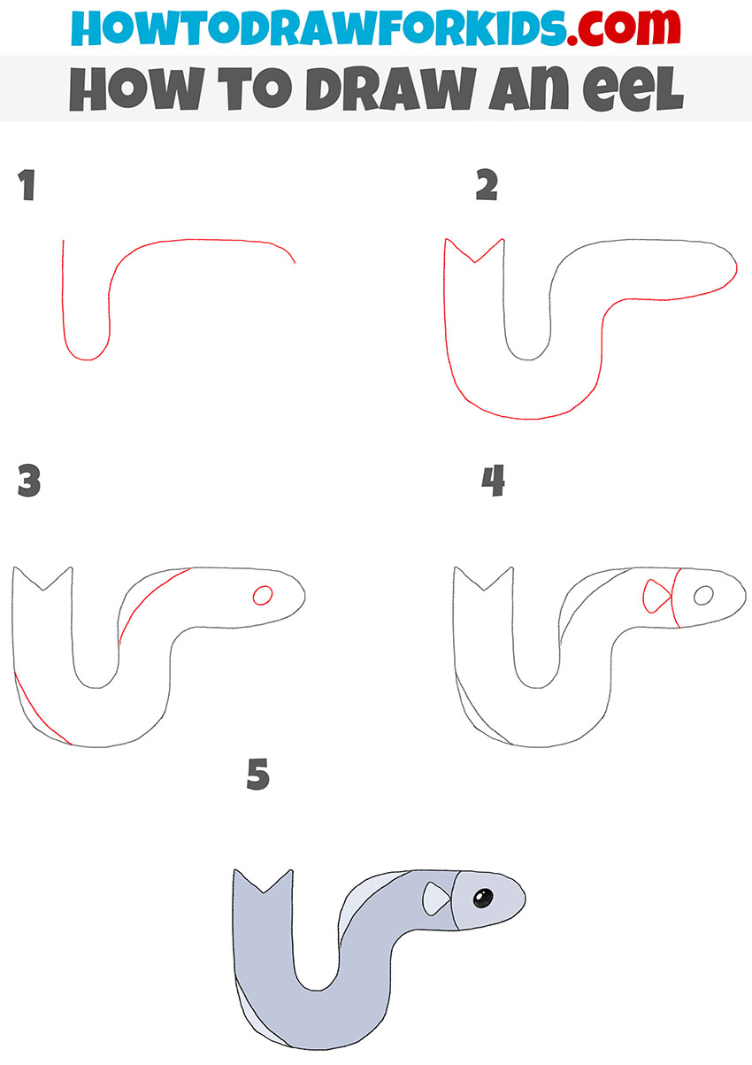 how to draw an eel step by step