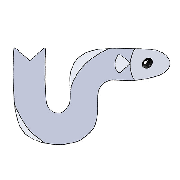 How to Draw an Eel