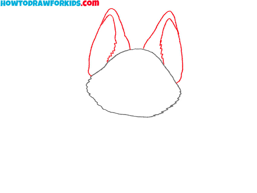 how to draw a cartoon lynx fpr kids