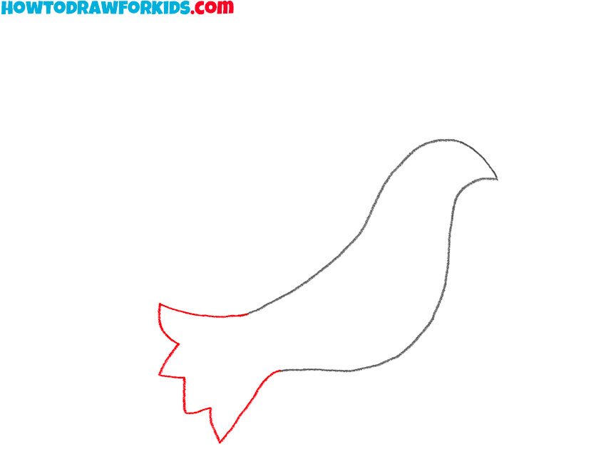 how to draw a dove realistic
