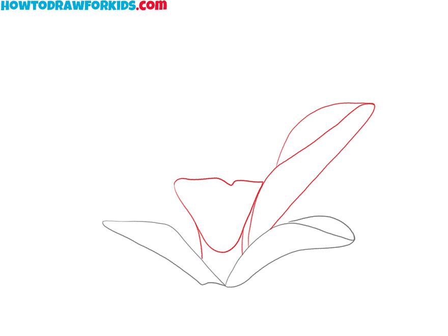how to draw a magnolia flower for kids