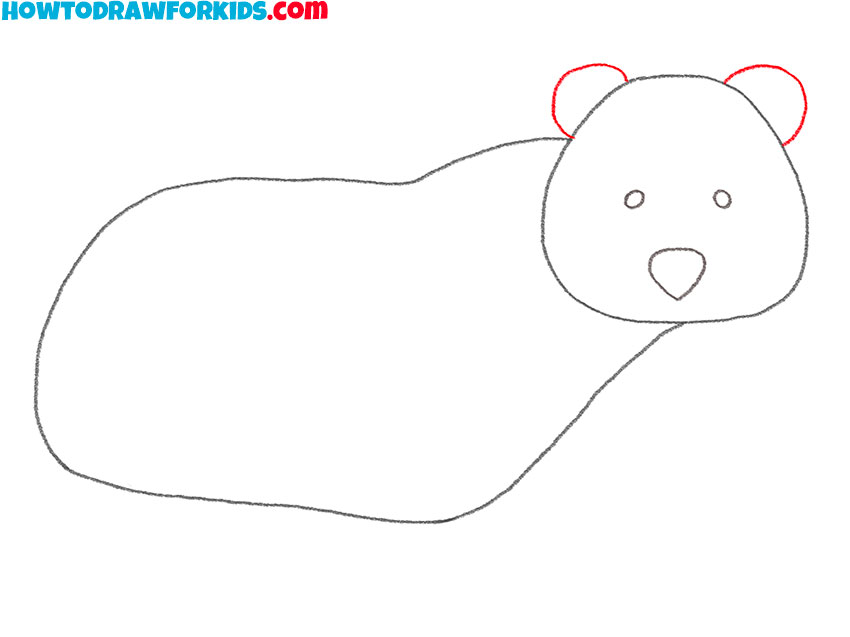 how to draw a cute brown bear