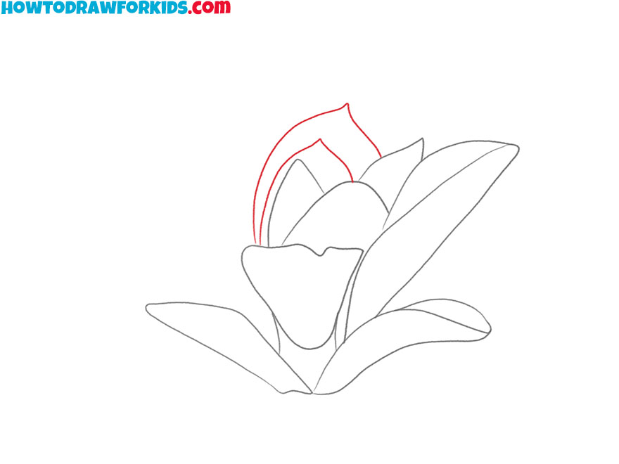 how to draw a magnolia flower for kindergarten