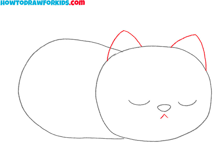 how to draw a realistic cat sleeping