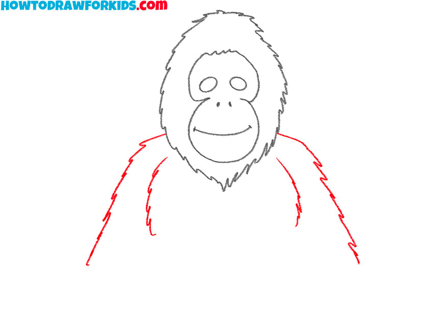 how to draw an orangutan art hub