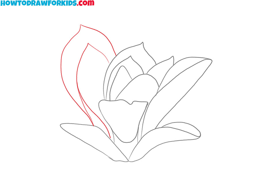 how to draw a magnolia flower simple