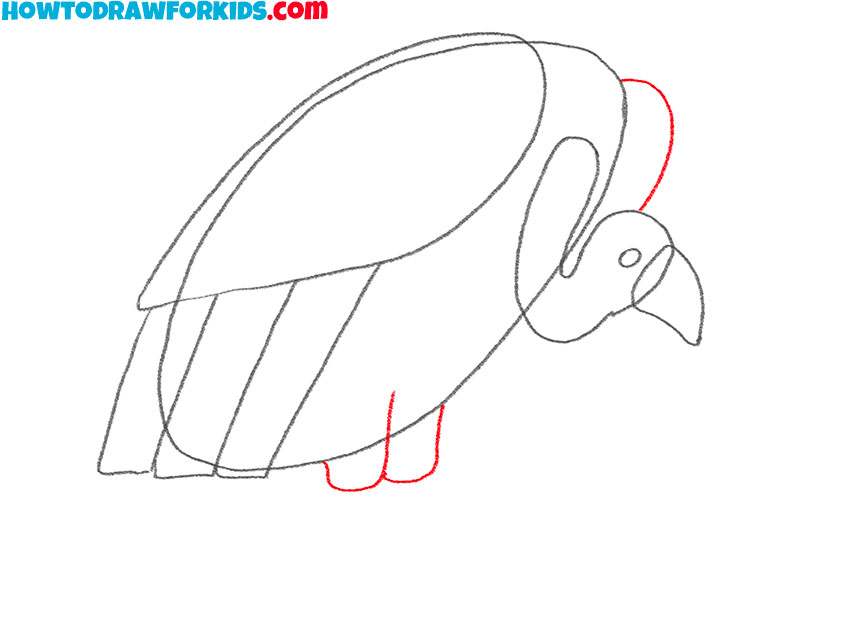 how to draw a vulture for beginners