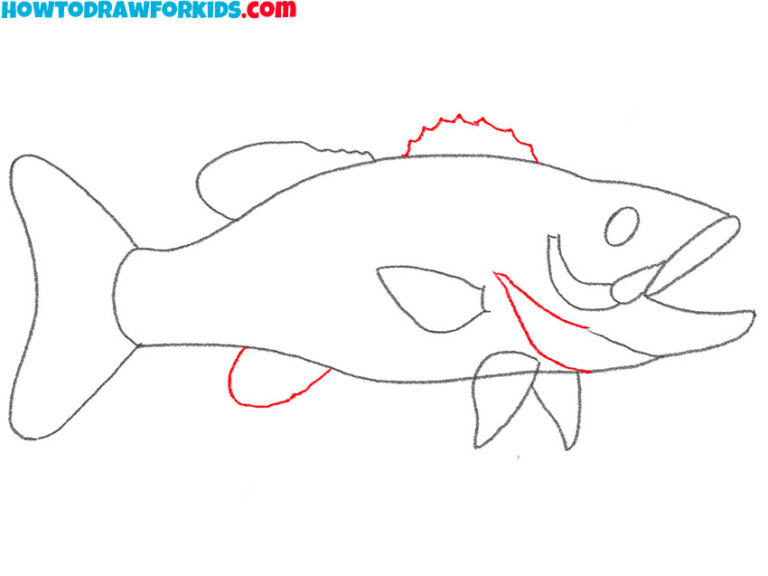How to Draw a Bass Fish Easy Drawing Tutorial For Kids