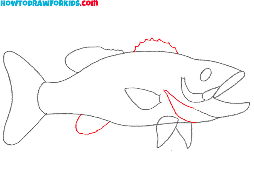 bass fish drawing tutorial