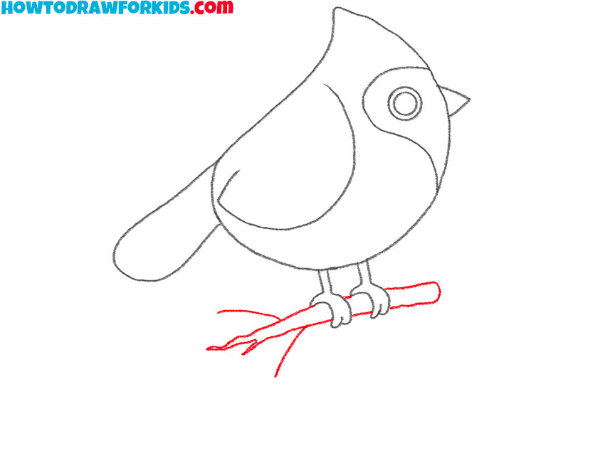 cardinal bird drawing guide