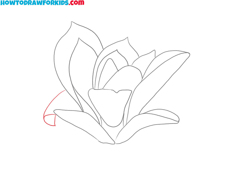 how to draw a magnolia flower cartoon