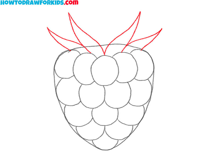 How to Draw a Raspberry Easy Drawing Tutorial For Kids