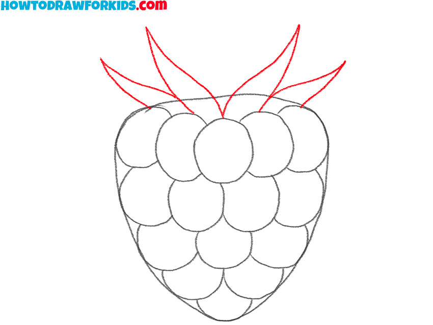 how to draw a raspberry for kids