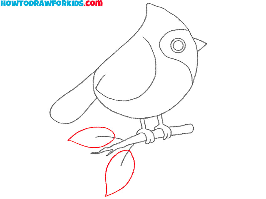 cardinal bird drawing lesson