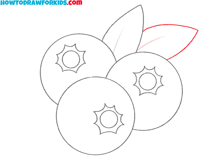 how to draw a blueberry for kindergarten