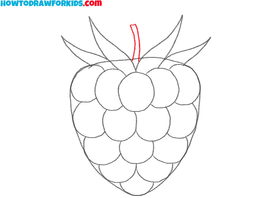 how to draw a raspberry for beginners