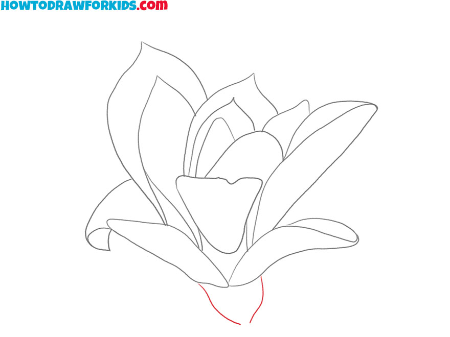 magnolia flower drawing lesson