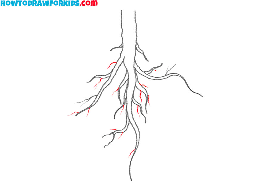 roots drawing for kids